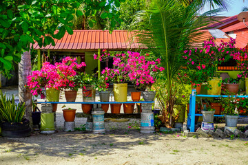 streets and houses of Langkawi island in Malaysia