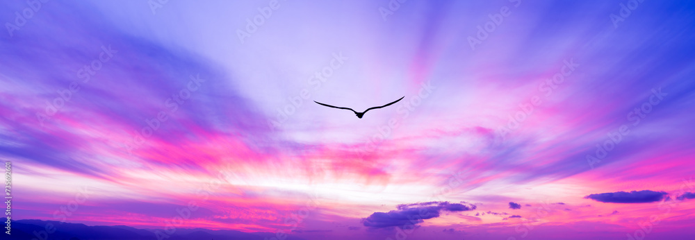 Wall mural bird flying sunset silhouette soaring beautiful sky hope spirit sunrise banner header - Wall murals