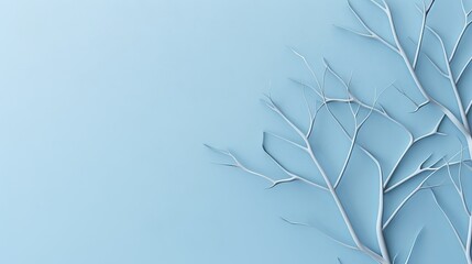 Minimalistic abstract gentle light blue background for product presentation with light and intricate shadow from tree branches on wall