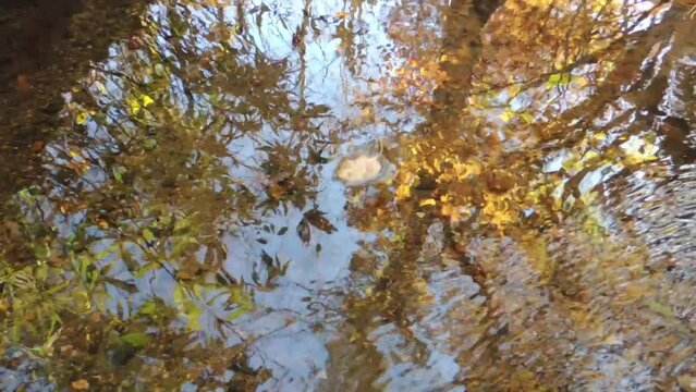 【青森県・風景】秋の水面は印象派の絵画#1