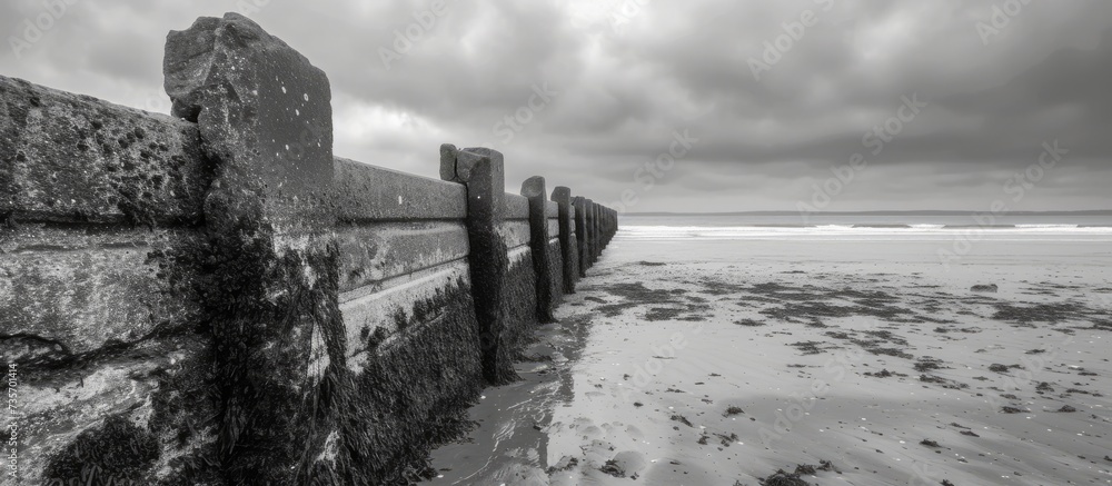 Canvas Prints Serene and Tranquil Black and White Photo of a Beautiful, Sandy Beach with Calm Waves Crashing