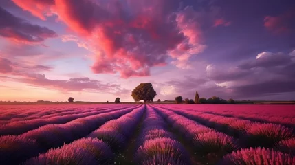 Papier Peint photo autocollant Aubergine landscape Lavender field at sunset