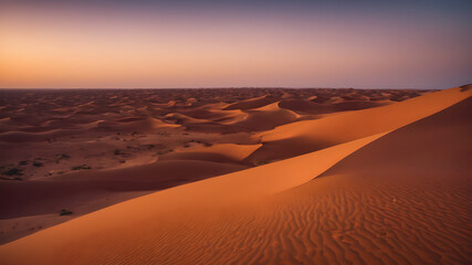 Fototapeta na wymiar sunset in the desert country