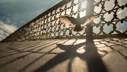 lizard on the beach wallpaper Chains undone Pigeon shadow escapes, symbolizing freedom in the morning light
