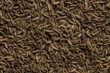 caraway seeds photographic background wall texture pattern seamless wallpaper - obrazy, fototapety, plakaty