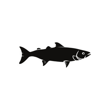 salmon fish vector silhouette