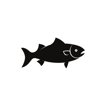 salmon fish vector silhouette