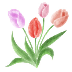 Naklejka premium bouquet of tulips
