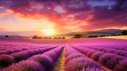 Poster Amazing summer landscape of blooming lavender flowers, peaceful sunset view © pijav4uk