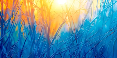 Photo sur Plexiglas Herbe Abstract background with willow branches at sunrise