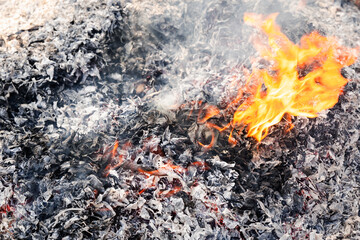 Dangerous Close-Up Bonfire Burning Dry Leaves, Air Pollution, and Rise in Heat