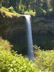 waterfall in the woods