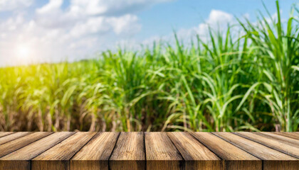 The empty wooden brown table top with blur background of sugarcane plantation. Exuberant image.