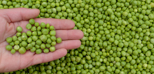 green peas peeled in pods hand