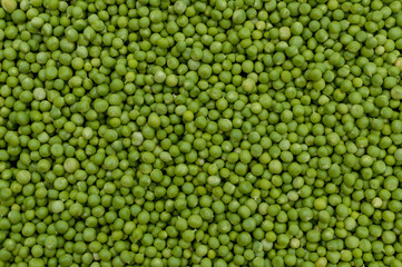 green peas peeled in pods hand