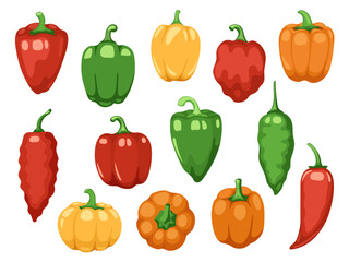 Various bell peppers. Cartoon red green yellow orange sweet paprika, fresh organic vegetable for cooking and healthy eating. Vector colorful set