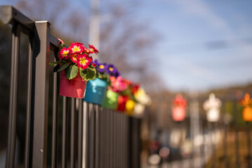 カラフルな植木鉢