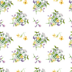 Seamless wild medicinal plant, herbs watercolor pattern isolated on white background. Floral pattern with millefolium, nettle, pulmonaria, celanine hand drawn. Design for label, package, textile
