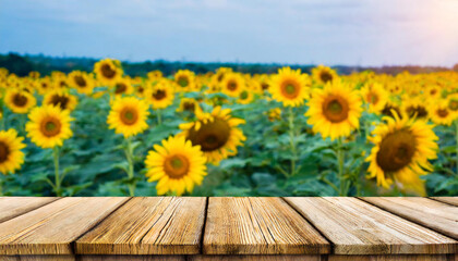 The empty wooden table top with blur background of sunflower field. Exuberant image.