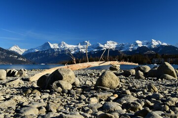 thunersee schreckhorn eiger mönch jungfrau landscape scenery