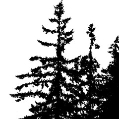 black and white tree