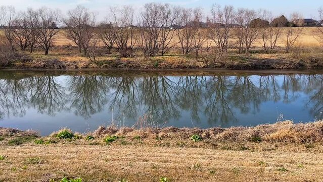 Japanese winter river
