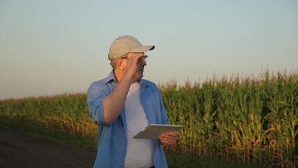 concept using modern technologies corn field, technologies modern production agriculture, farmer engineer walks through corn plantation growing, business farm, agronomist engineer working digital