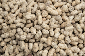Peanuts in shells on the background of sack cloth.