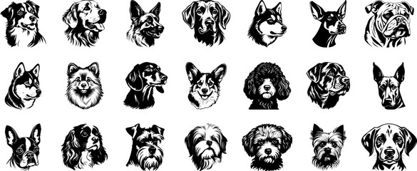 Dog breeds heads vector illustration. Pet portrait in style of hand drawn black doodle on white background - obrazy, fototapety, plakaty