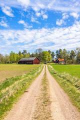 Gravel road to a farm in the swedish countryside