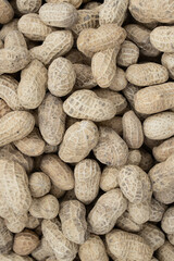 Peanuts in shells on the background of sack cloth.