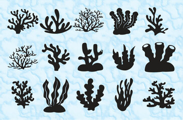 Set of isolated corals and algae in editable vector format.  Underwater flora, fauna and seaweeds. Coral reef underwater plants. Aquarium alga set, ocean water plants, sea starfish residence. eps 10