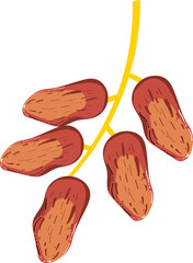Dates Fruits Food for iftar in Ramadan