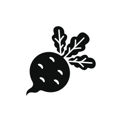 Radish icon isolated on transparent background