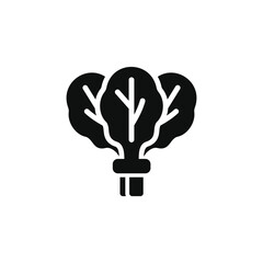 Spinach icon isolated on transparent background