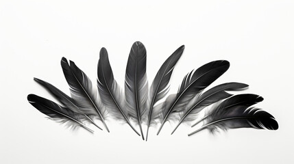 A black and white photo of a bunch of feathers.