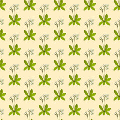 Seamless vector pattern with hand drawn spring flower primrose