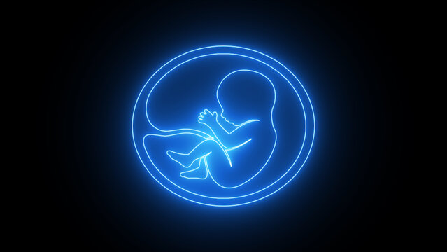 Glowing blue neon Human fetus inside the womb. Pregnancy fetal foetus development. Human embryo, stages of fetal development