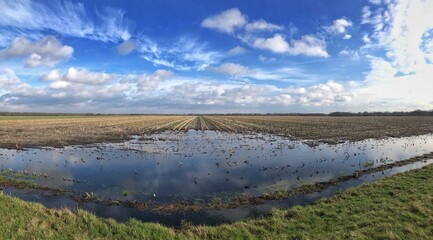 Fototapeta na wymiar Flooding at Fields. Clouds. Uffelter Es. Uffelte Drenthe. Netherlands. Panorama.