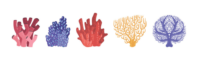 Colorful Reef Coral and Marine Hydranths Vector Set