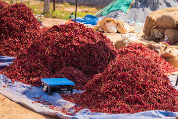 fresh whole dry red chilies stored in bag for sell in a market stall