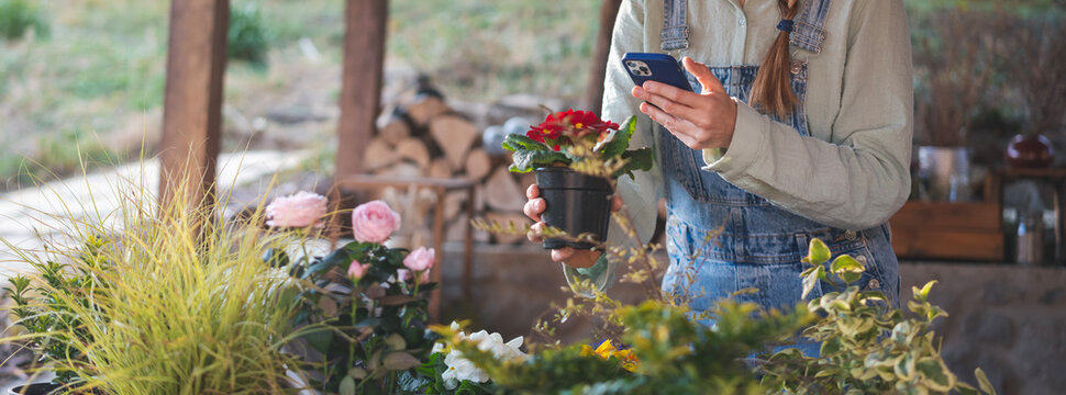 A young woman gardener with a smartphone in her hands on the terrace at home takes photos of flowers in pots. Gardening floriculture hobby