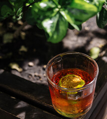 Alcoholic Negroni Cocktail top view