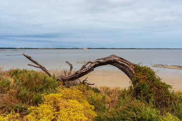 Saltwater lagoon in Coorong National Park, South Australia