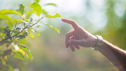 A man's hand touching grass. Caring for the environment. The ecology the concept of saving the world and love nature by human