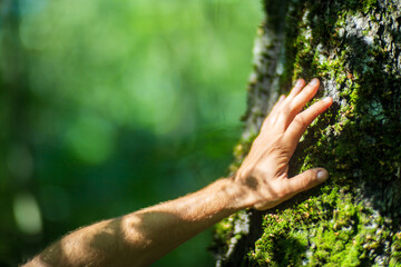 A man's hand touch the tree trunk close-up. Bark wood. Caring for the environment. The ecology concept of saving the world and love nature by human - obrazy, fototapety, plakaty