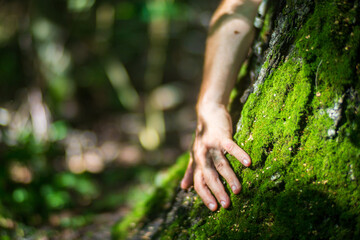 A man's hand touch the tree trunk close-up. Bark wood. Caring for the environment. The ecology concept of saving the world and love nature by human