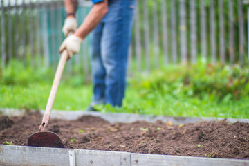 Farmer cultivating land in the garden with hand tools. Soil loosening. Gardening concept....
