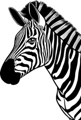 Zebra head realistic Illustration isolated on transparent background	
