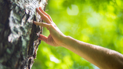 A man's hand touch the tree trunk close-up. Bark wood.Caring for the environment. The ecology...